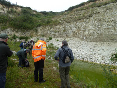 Geological party visit to Wells Chalk Pit