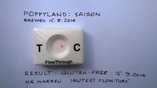 Gluten in food test result